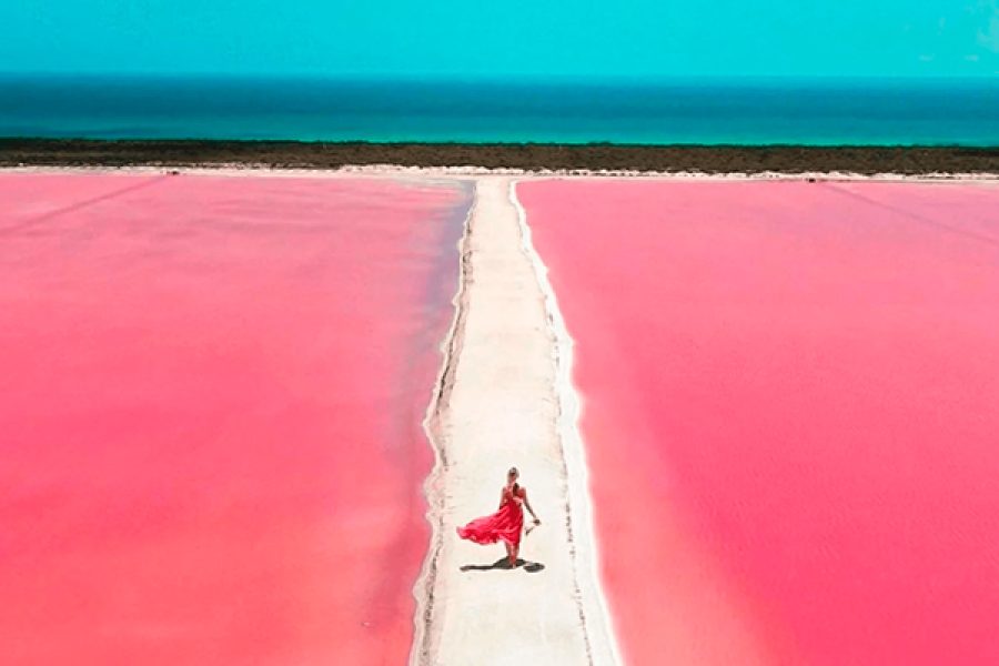 coloradas-0