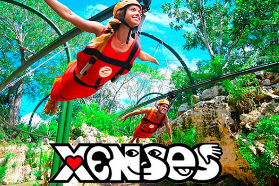 xenses-0